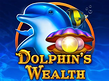 Preview image of Dolphins Wealth
