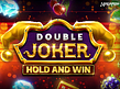 Aperçu de Double Joker Hold and Win