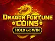 Preview image of Dragon Fortune Coins Hold and Win