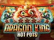 Preview image of Dragon King Hot Pots