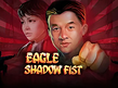 Preview image of Eagle Shadow Fist