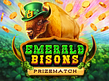 Aperçu de Emerald Bisons PrizeMatch