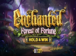 Preview image of Enchanted Forest of Fortune
