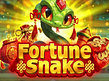 Vista previa de Endorphina Fortune Snake