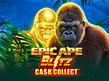 Предварительный просмотр Epic Ape Blitz Cash