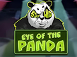 Preview image of Eye of the Panda