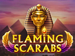 Flaming Scarabsのプレビュー画像