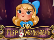 Preview image of Flip Wonderland
