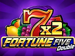 Preview image of Fortune Five Double