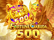 Aperçu de Fortune Garuda 500