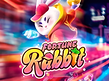 Preview image of Fortune Rabbit