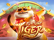 Preview image of Fortune Tiger