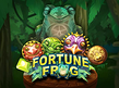 Preview image of Frog Fortunes