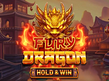 Aperçu de Fury Dragon Hold and Win