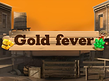 Preview image of Gold Fever