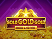 Aperçu de Gold Gold Gold Hold and Win