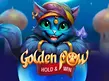 Предварительный просмотр Golden Paw Hold and Win