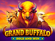 Aperçu de Grand Buffalo Hold and Win