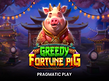 Preview image of Greedy Fortune Pig