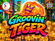 Anteprima di Groovin Tiger