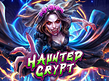 Aperçu de Haunted Crypt