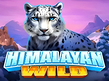 Preview image of Himalayan Wild