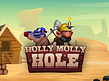 Aperçu de Holly Molly Hole