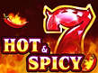Предварительный просмотр Hot and Spicy
