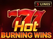 Aperçu de Hot Burning Wins