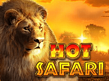 Aperçu de Hot Safari
