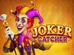 Preview image of Joker Catcher