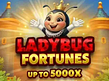 Anteprima di Ladybug Fortunes