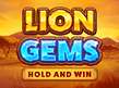 Preview image of Lion Gems Hold and Win