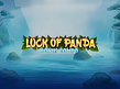 Preview image of Luck of Panda Bonus Combo