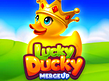 Aperçu de Lucky Ducky