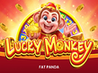 Preview image of Lucky Monkey
