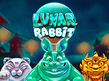 Preview image of Lunar Rabbit