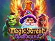 Preview image of Magic Forest Spellbound