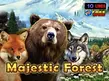 Preview image of Majestic Forest