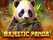 Preview image of Majestic Panda