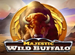 Preview image of Majestic Wild Buffalo