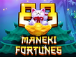 Предварительный просмотр Maneki 88 Fortunes