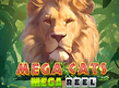 Preview image of Mega Cats Mega Reel