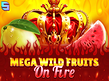 Preview image of Mega Wild Fruits On Fire