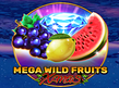 Preview image of Mega Wild Fruits Xmas