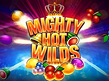 Preview image of Mighty Hot Wilds