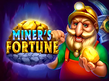 Preview image of Miners Fortune