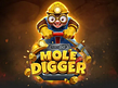 Aperçu de Mole Digger