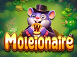 Preview image of Moleionaire