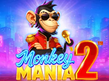 Preview image of Monkey Mania 2